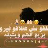 mohamad387149070285