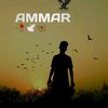 ammari534