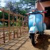 sarwati.249