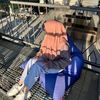 user070501120904