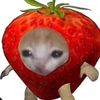 officerstraw_berry