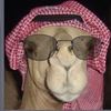 abdalmlk777