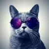 silver.ninja13