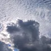 e278295