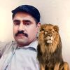 tanveermughal7031