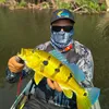reyfsonpescador