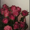 bbb_blau