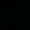 marul_caybuk