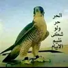 djhjgcubhj