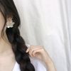 aresh611