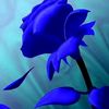 user7143103668726