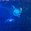 MusicRM