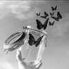 صعبة المنال 🦋