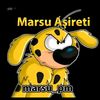 user2236060126