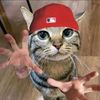 brandan_your_loacl_idot