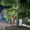 nilmaranunes48