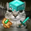 benja_9955