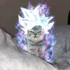 gatolio0