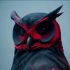 david_01701