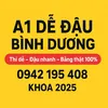 a1dedaubinhduong