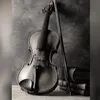 تشِيلّلو 🎻