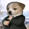 pedro_guab