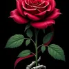 rosa553maria