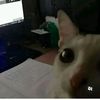 roberto0604_
