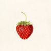 fruitberryloop