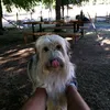 nose_queponer0101