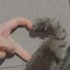 khaiezrra_vnyx.037