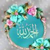 halaqassim27