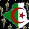 user729124819776