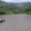 triutnh6