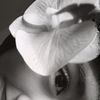 cheriefiles__