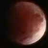 best_chmonya_ever
