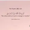 saiqaahmed93