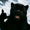 irwanonymous__