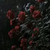 tieuji_09