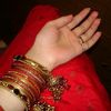 tanisha.tasrin.nil