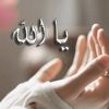 user158623359767