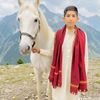 meharalihamza3
