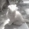 скучная))