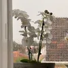 _makkie_bs_