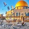abderrahim.ben.che