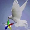 suherabou74