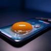 eggyolk216