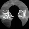 hado_478