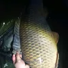 skkylar.faber