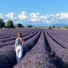 mydreammoving